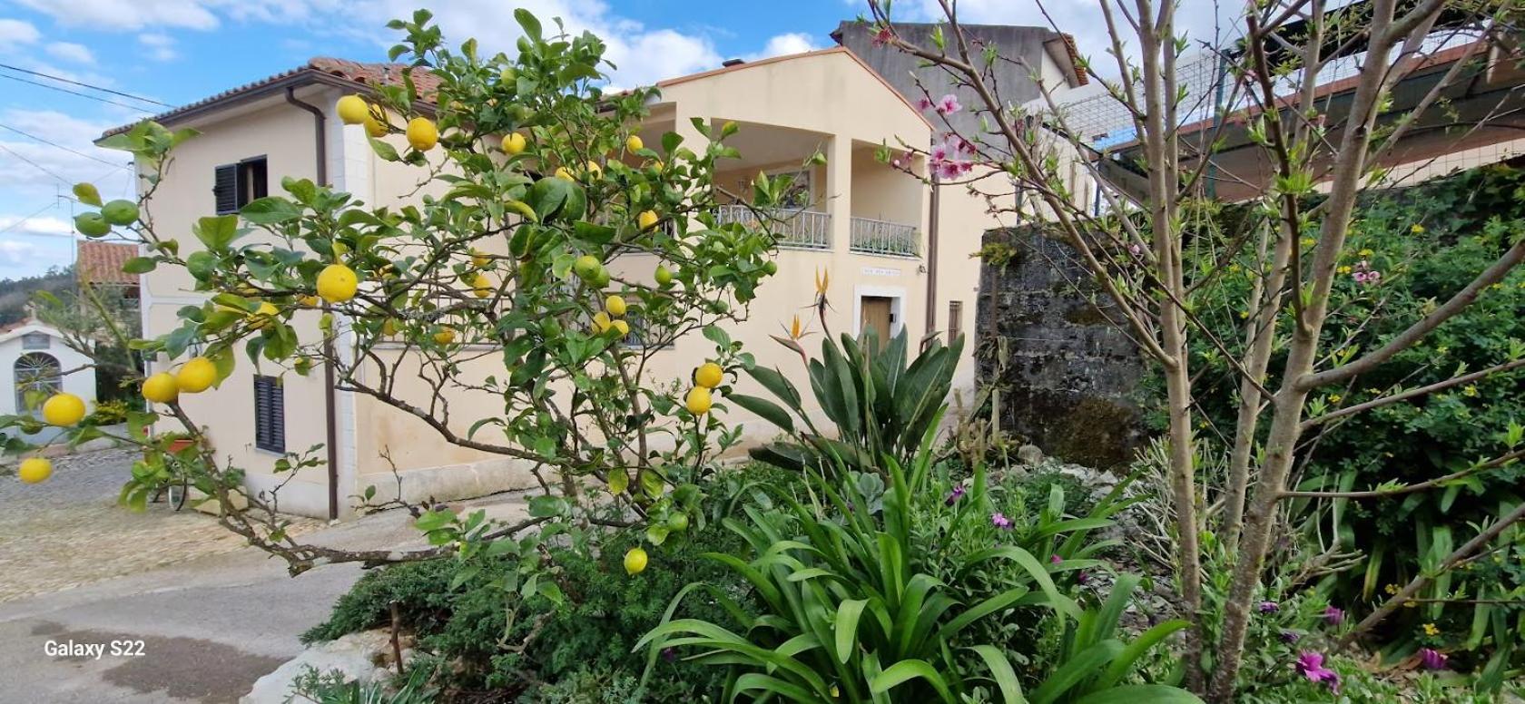 Casa Dos Amigos Vila Ancião Exterior foto